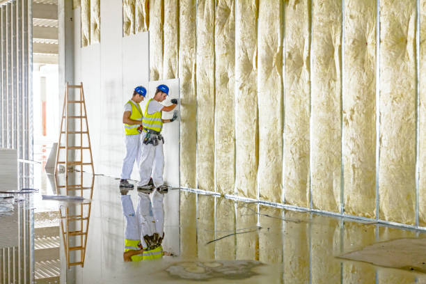 Best Eco-Friendly Insulation in Penns Grove, NJ